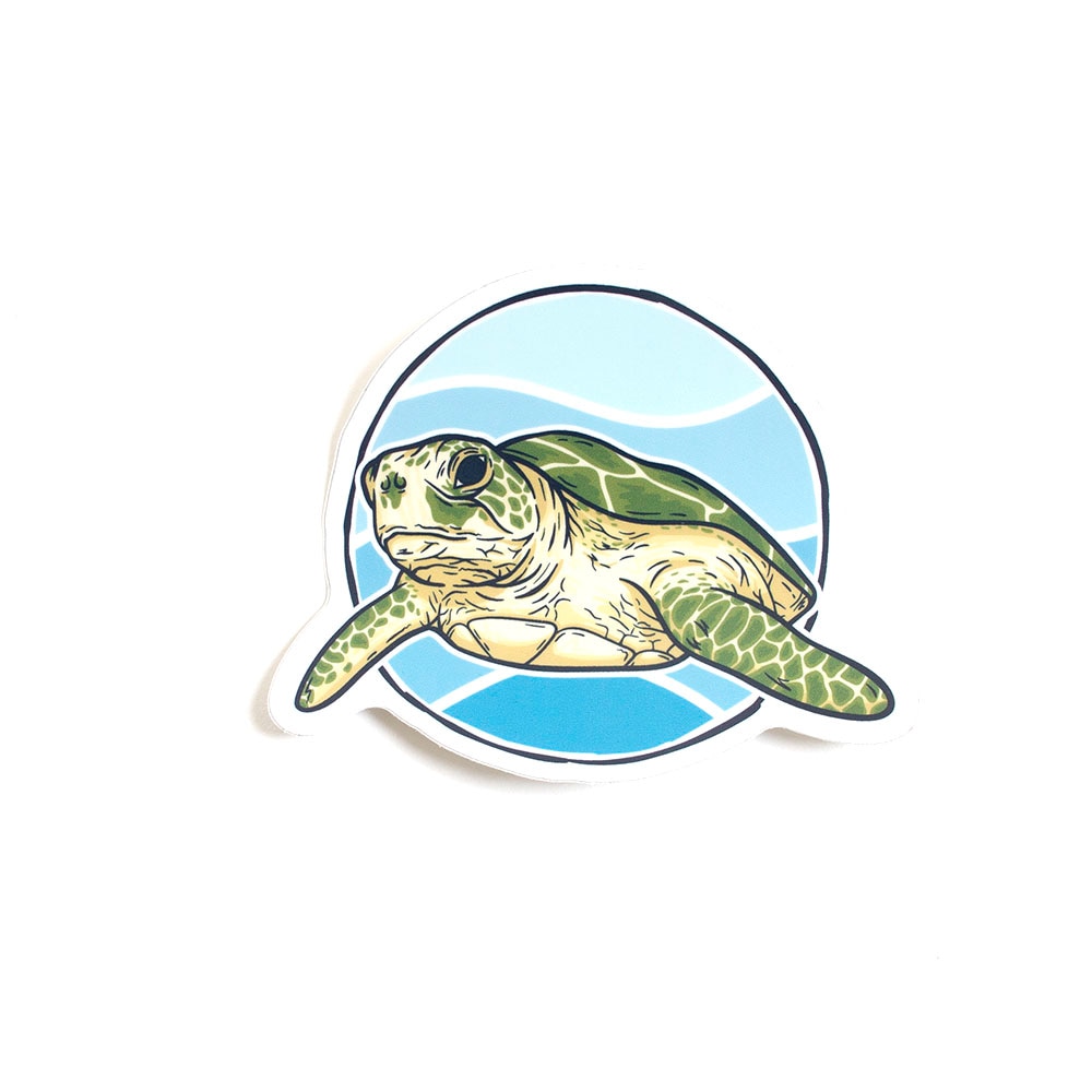 Stickers Northwest, Stickers, Art & School, 3", Sea Turtle, 608443